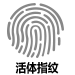 指纹